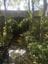 Eden Gardens + Swane's Nursery Tour Image -5b2c6c101a14e